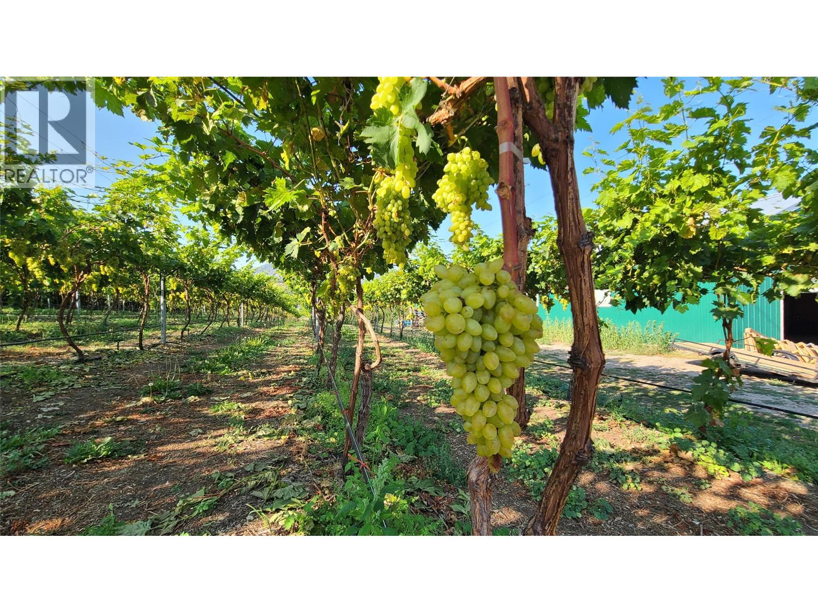  7298 97 Highway, Oliver