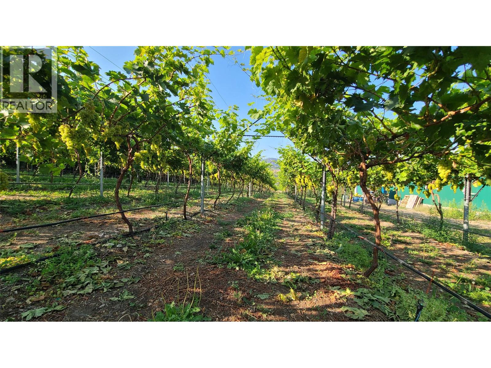  7298 97 Highway, Oliver