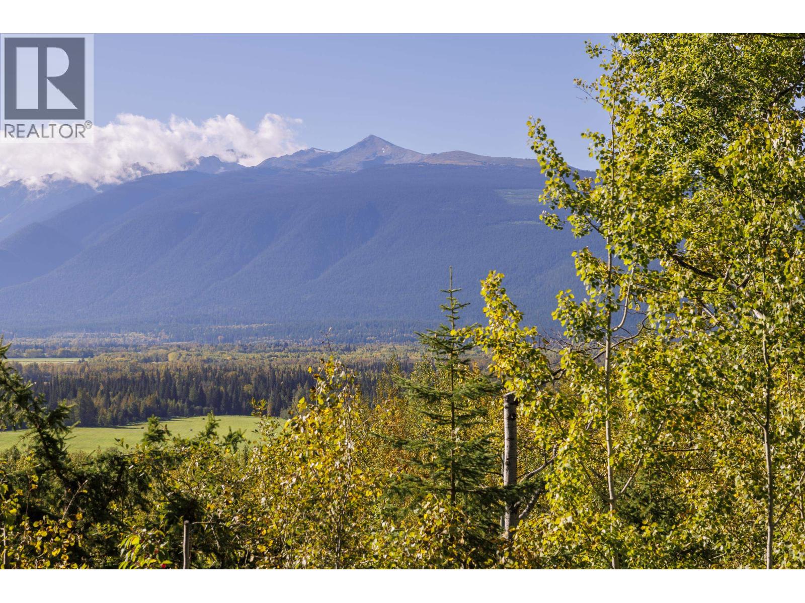 4706 MOUNTAIN VIEW ROAD, McBride