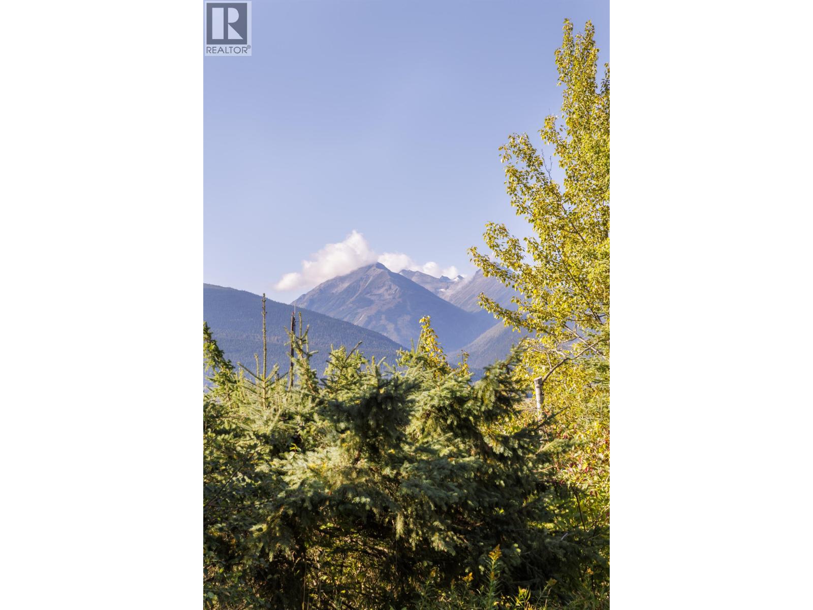 4706 MOUNTAIN VIEW ROAD, McBride