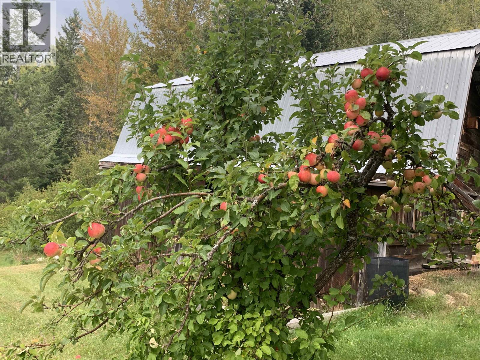 4706 MOUNTAIN VIEW ROAD, McBride