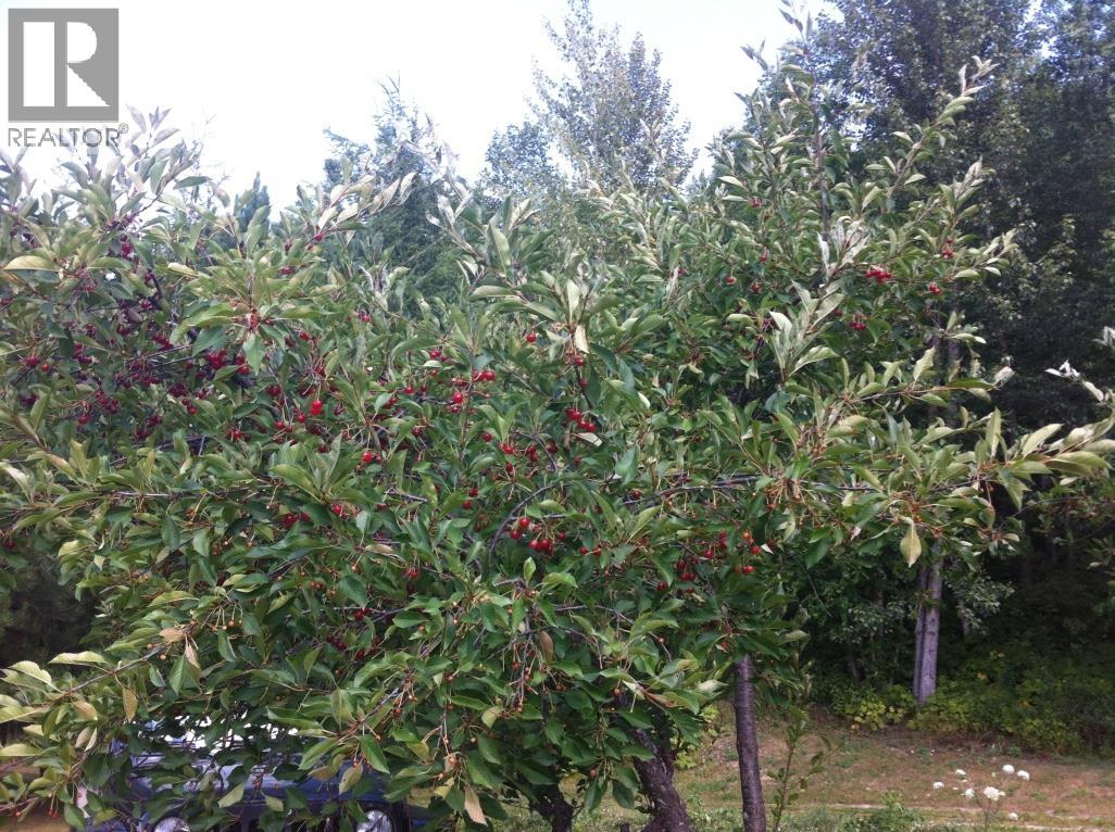 4706 MOUNTAIN VIEW ROAD, McBride