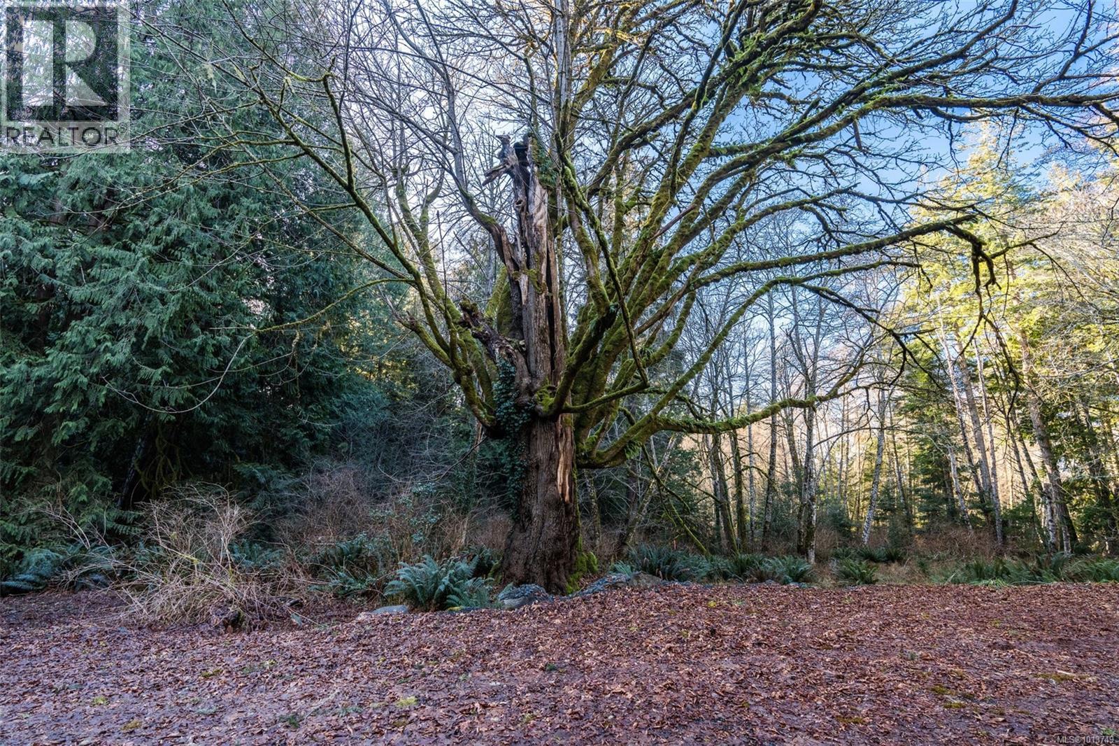 A 6550 East Sooke Road, Sooke