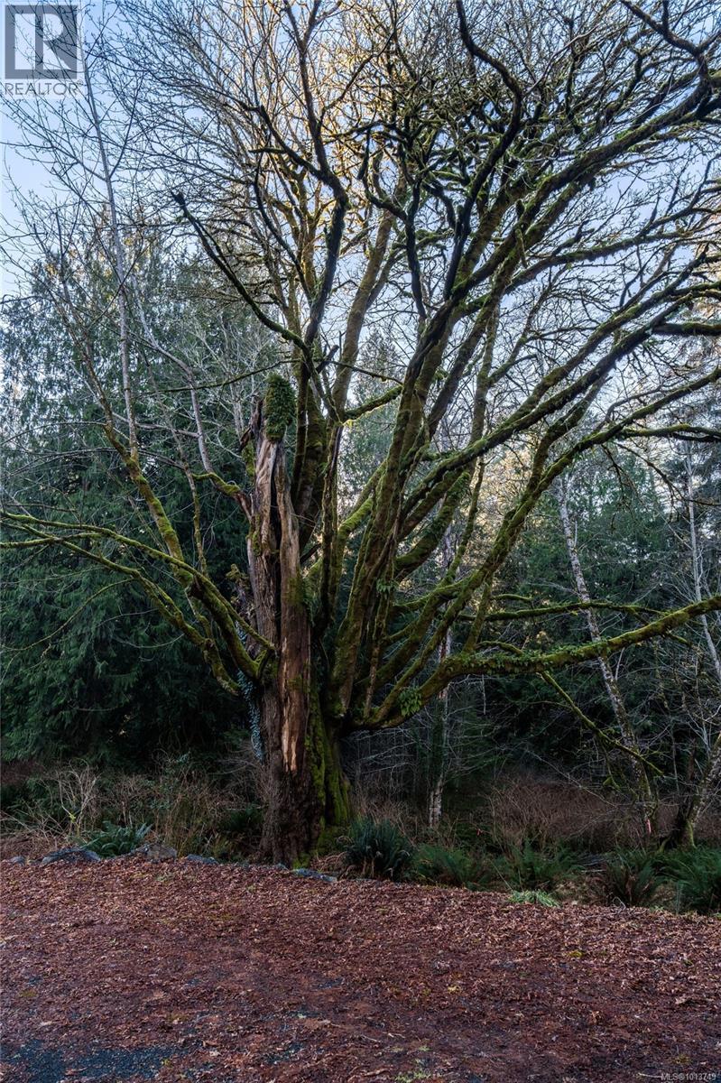 A 6550 East Sooke Road, Sooke
