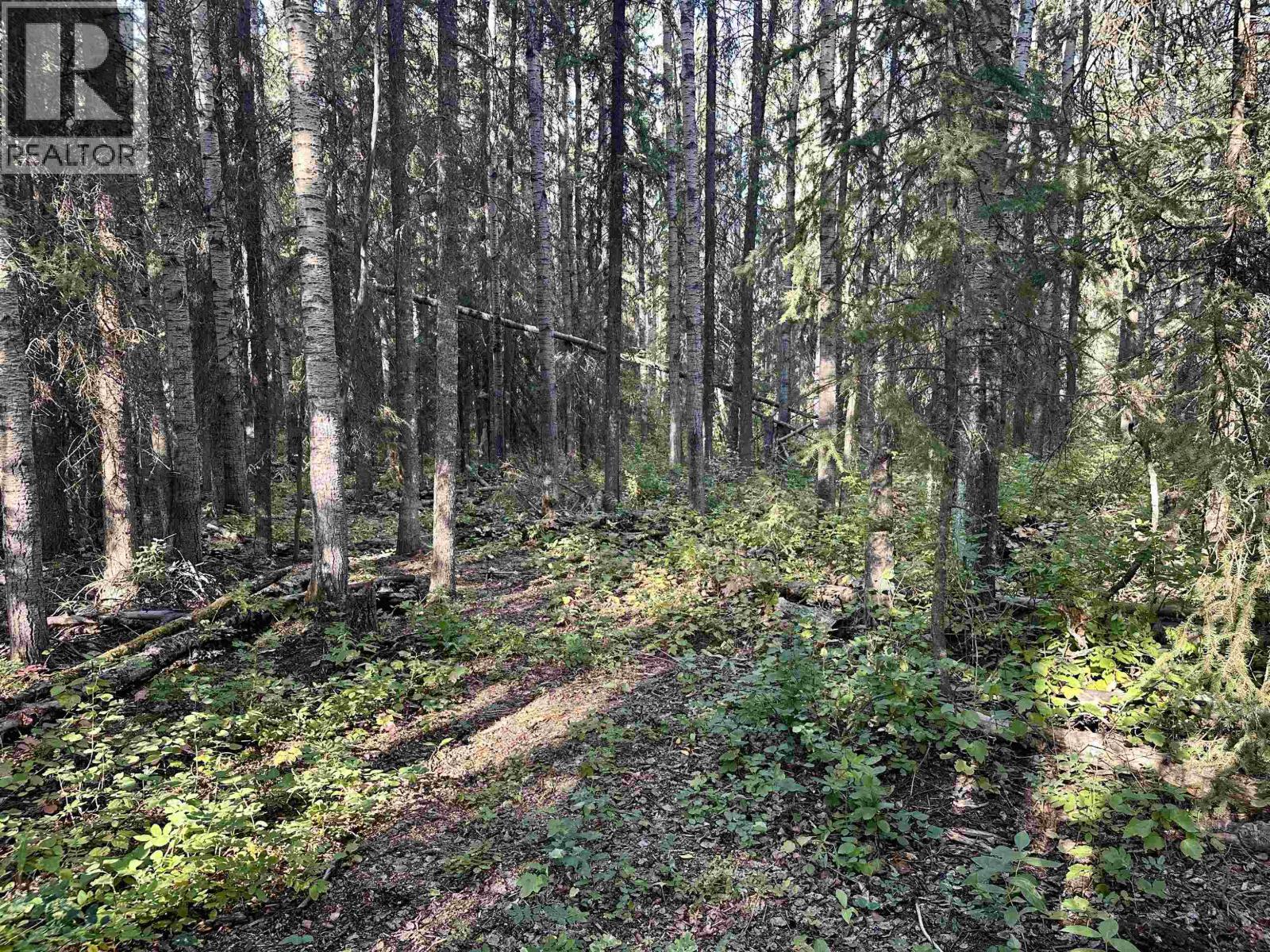 693 OAK ROAD, Vanderhoof