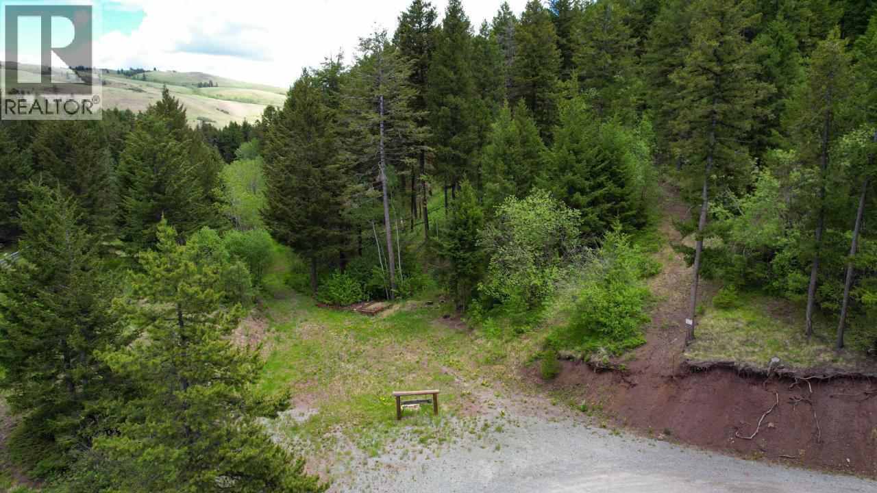  537 Wild Rose Drive, Merritt