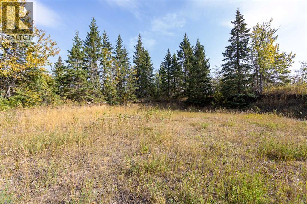 27111 Highway 597 Highway, Rural Lacombe County