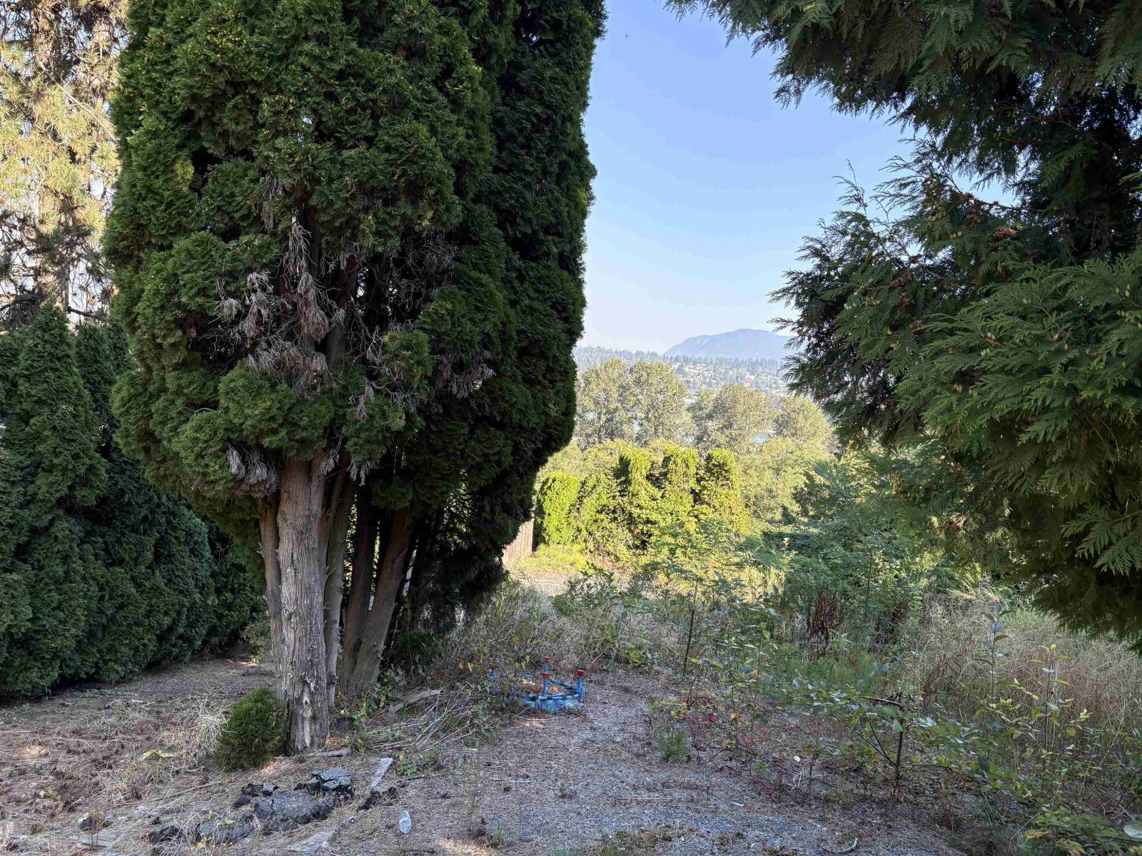 13993 116 Avenue - photo 2