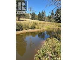 Lot 01-1 Route 121, Riverbank, NB E5T4Z5 Photo 6