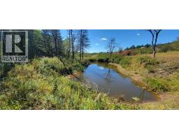 Lot 01-1 Route 121, Riverbank, NB E5T4Z5 Photo 7