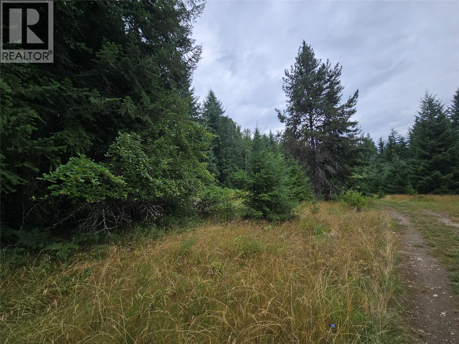 130 LOWER FAUQUIER ROAD - 6