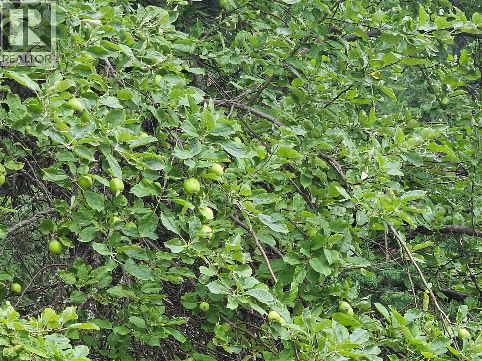 130 LOWER FAUQUIER ROAD - 7