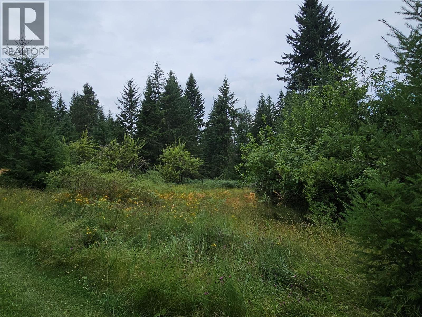 130 LOWER FAUQUIER ROAD - 9