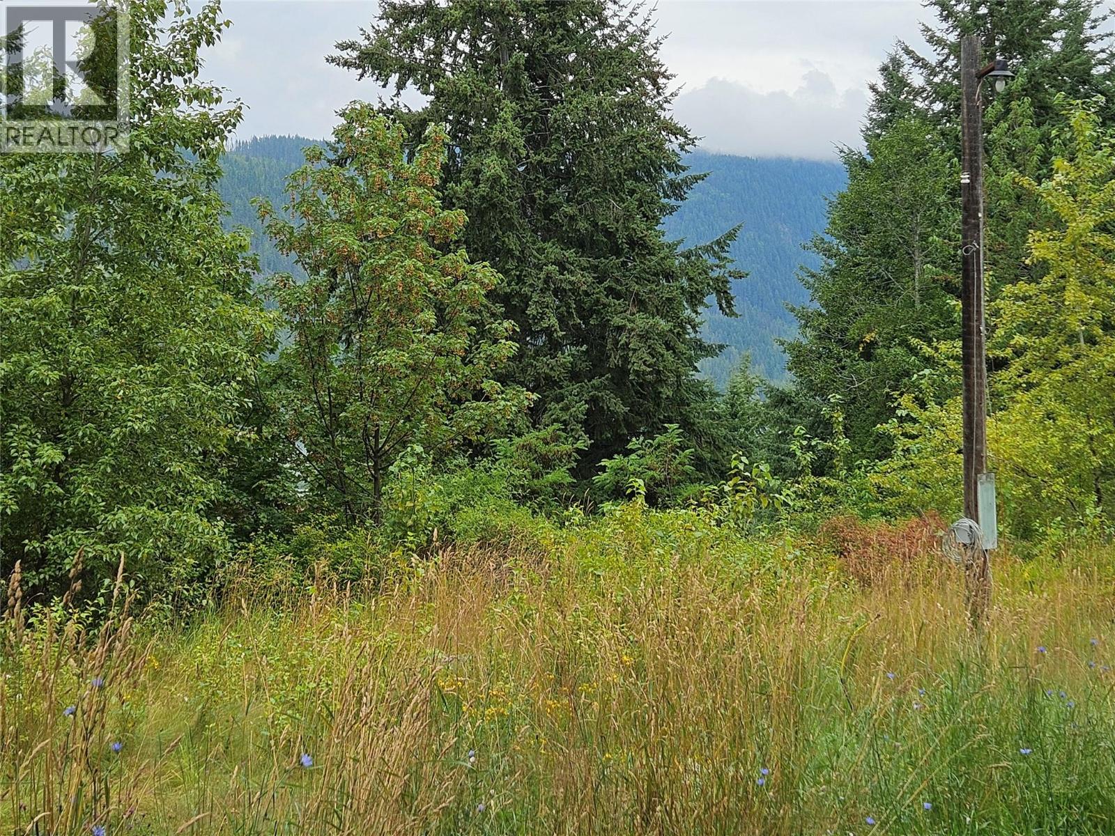 130 LOWER FAUQUIER ROAD - 11