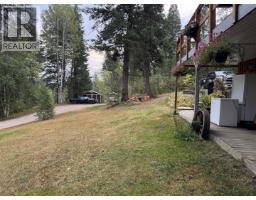 3918 Sanborn Road, Parson, BC V0A1L0 Photo 19