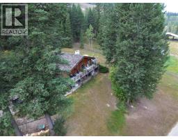 3918 Sanborn Road, Parson, BC V0A1L0 Photo 33
