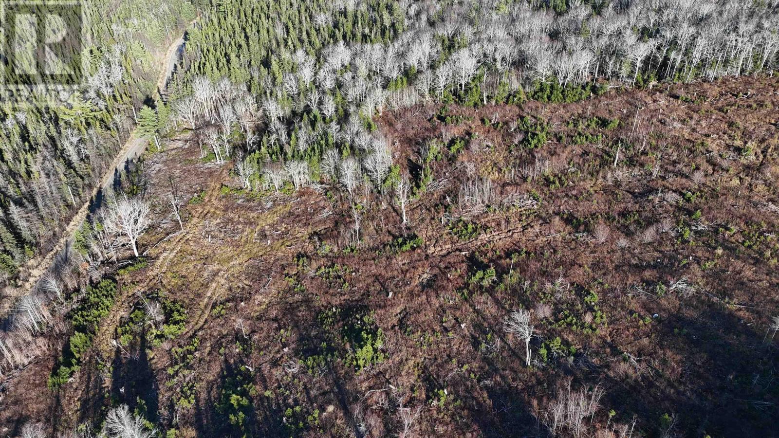 Property 6 of 11 of Salmon River Road