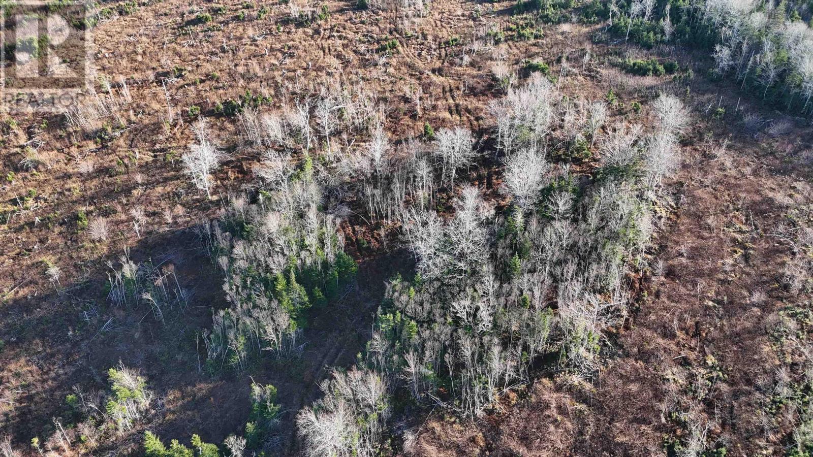 Property 5 of 11 of Salmon River Road