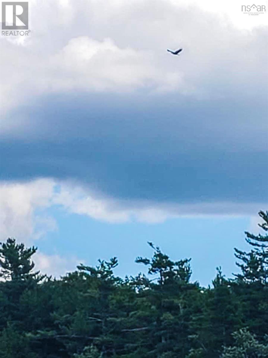 Property 4 of 7 of Lot Ten Mile Lake