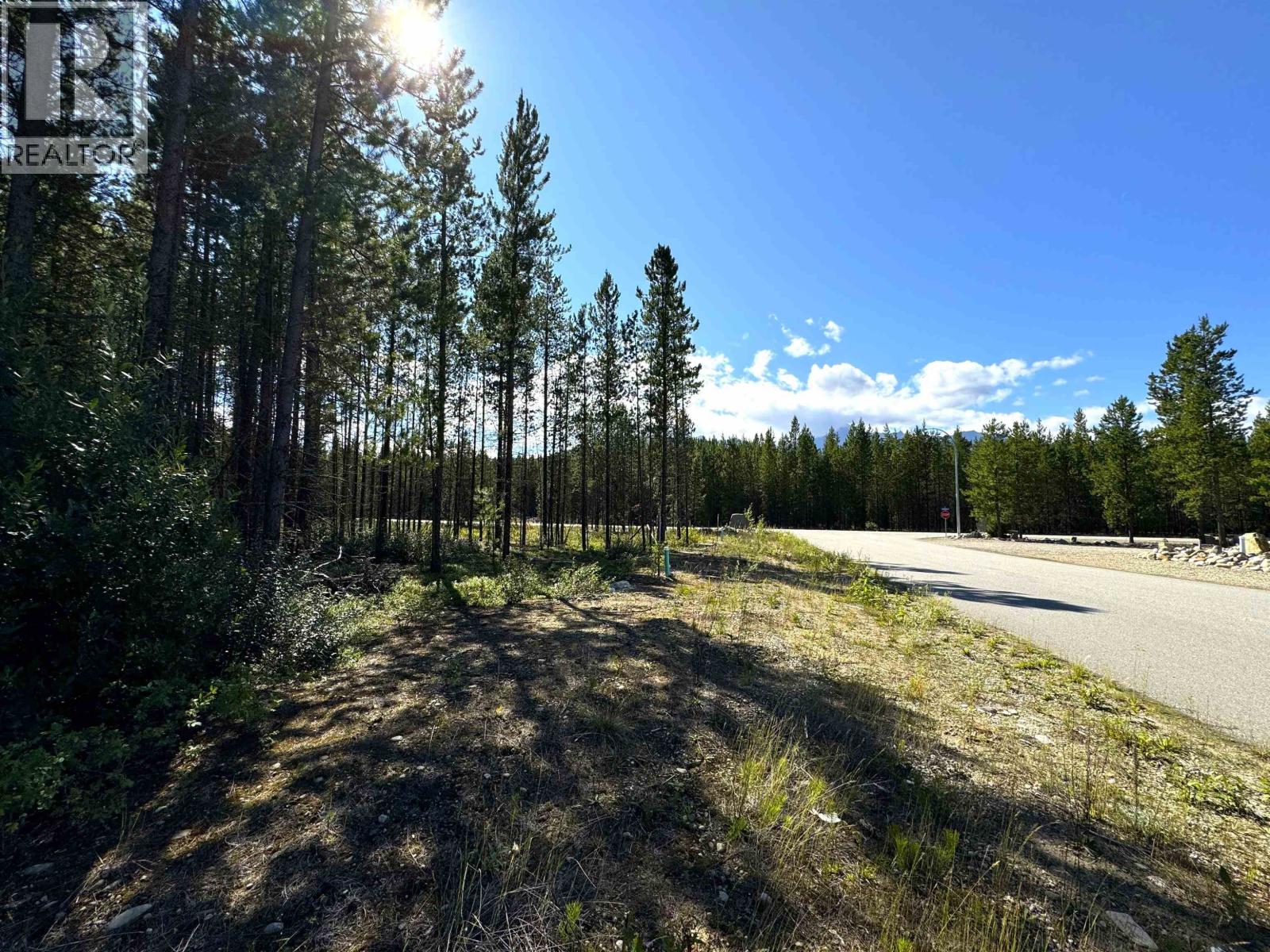 1285 FOWLER PLACE, Valemount