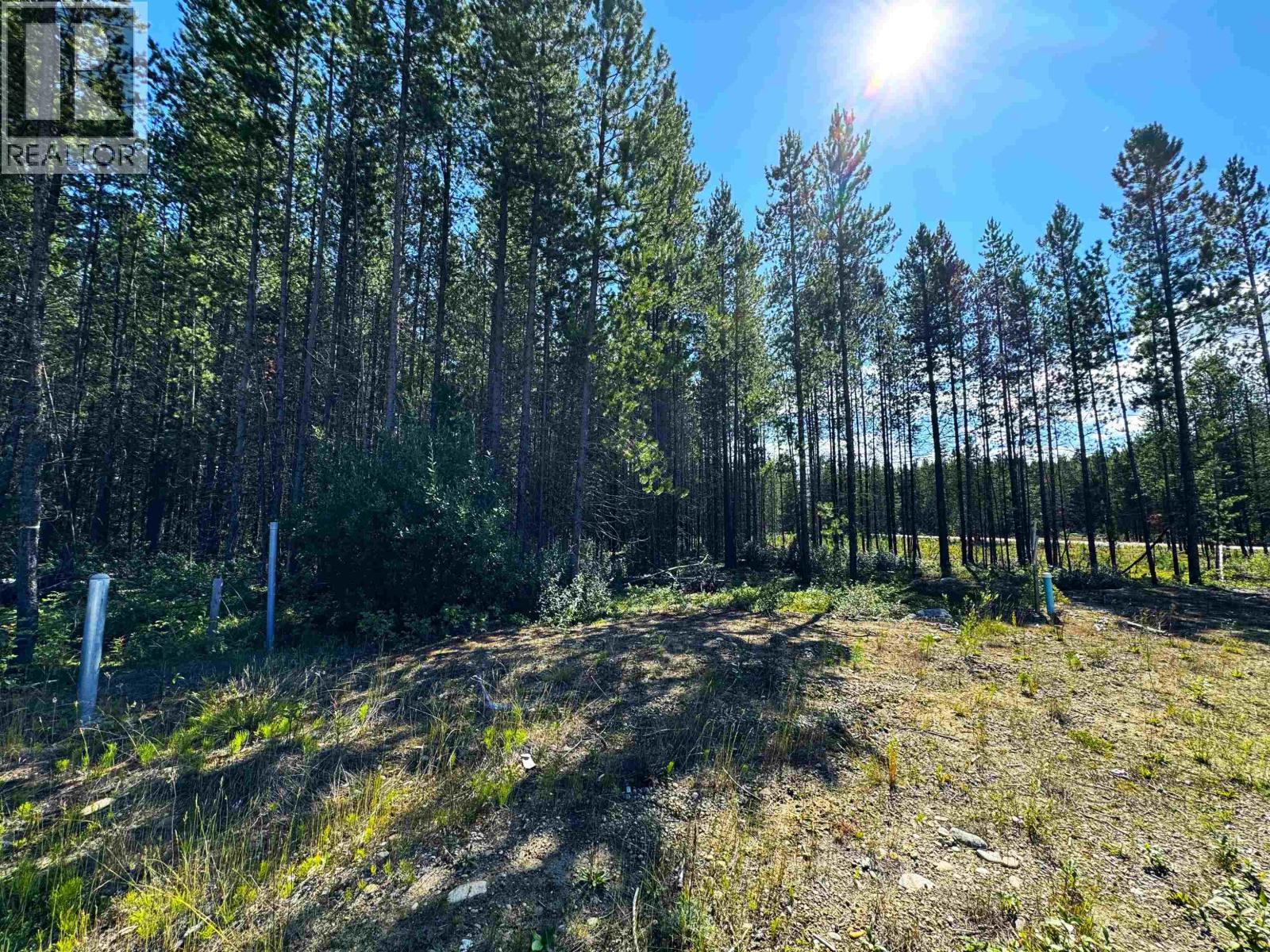 1285 FOWLER PLACE, Valemount