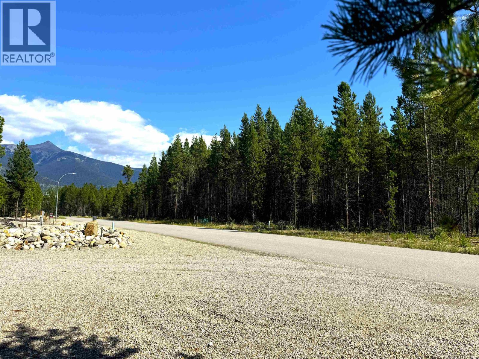 1285 FOWLER PLACE, Valemount