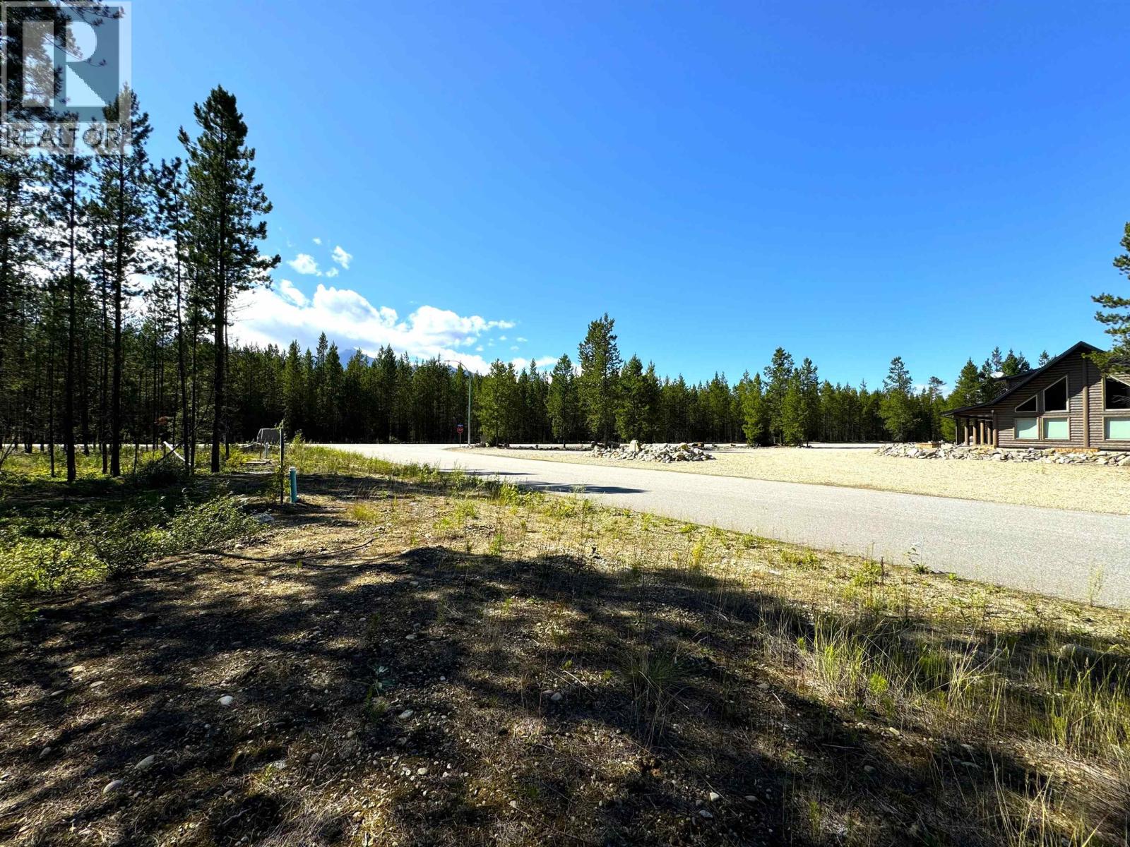 1285 FOWLER PLACE, Valemount