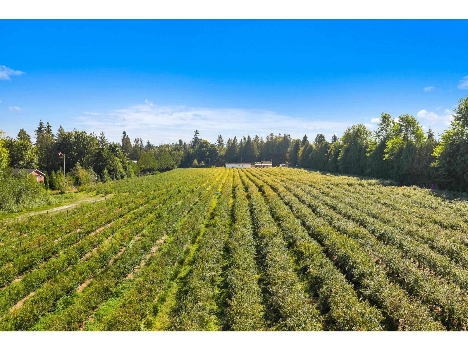 27911 56 AVENUE, Abbotsford