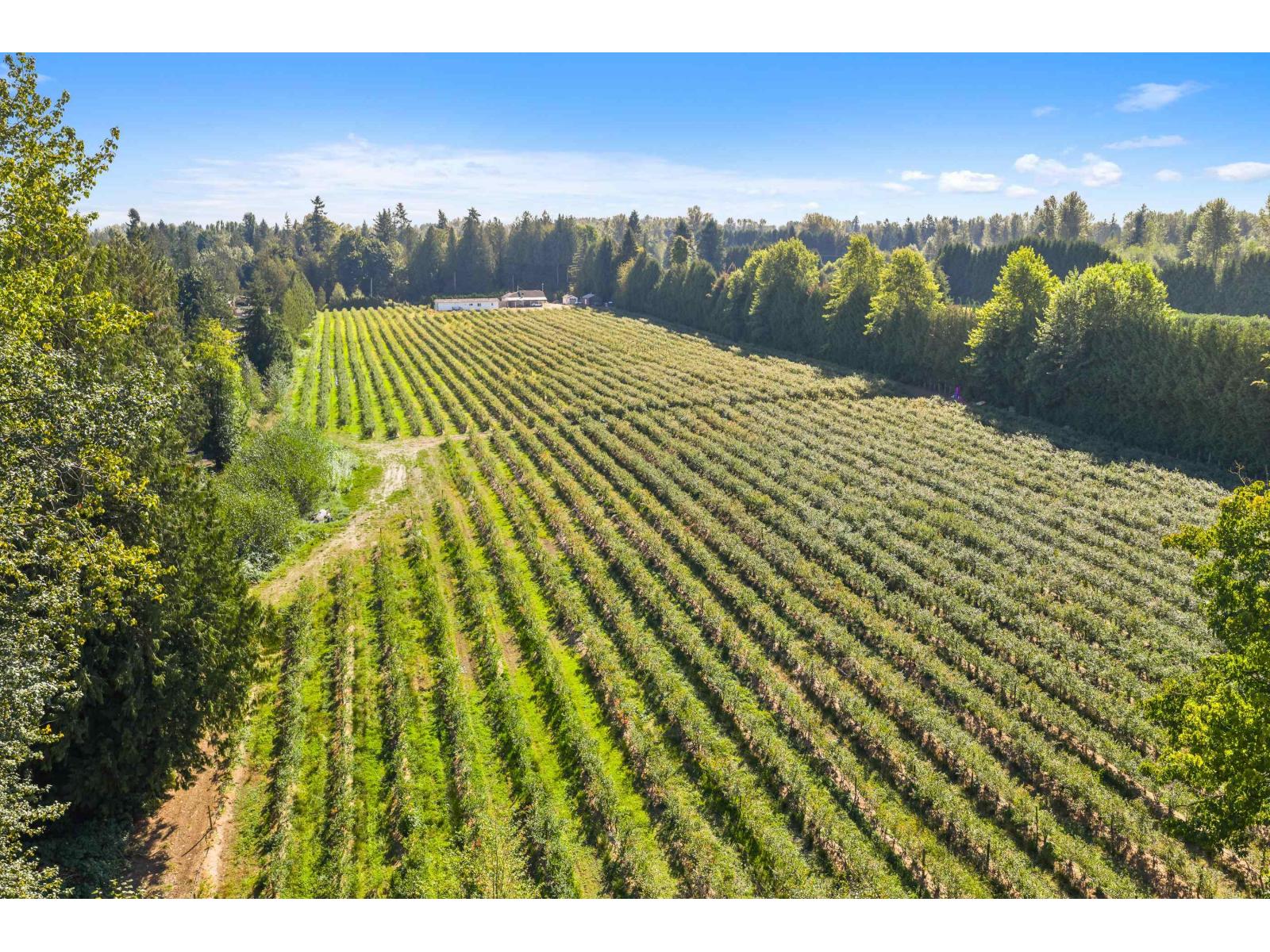 27911 56 AVENUE, Abbotsford