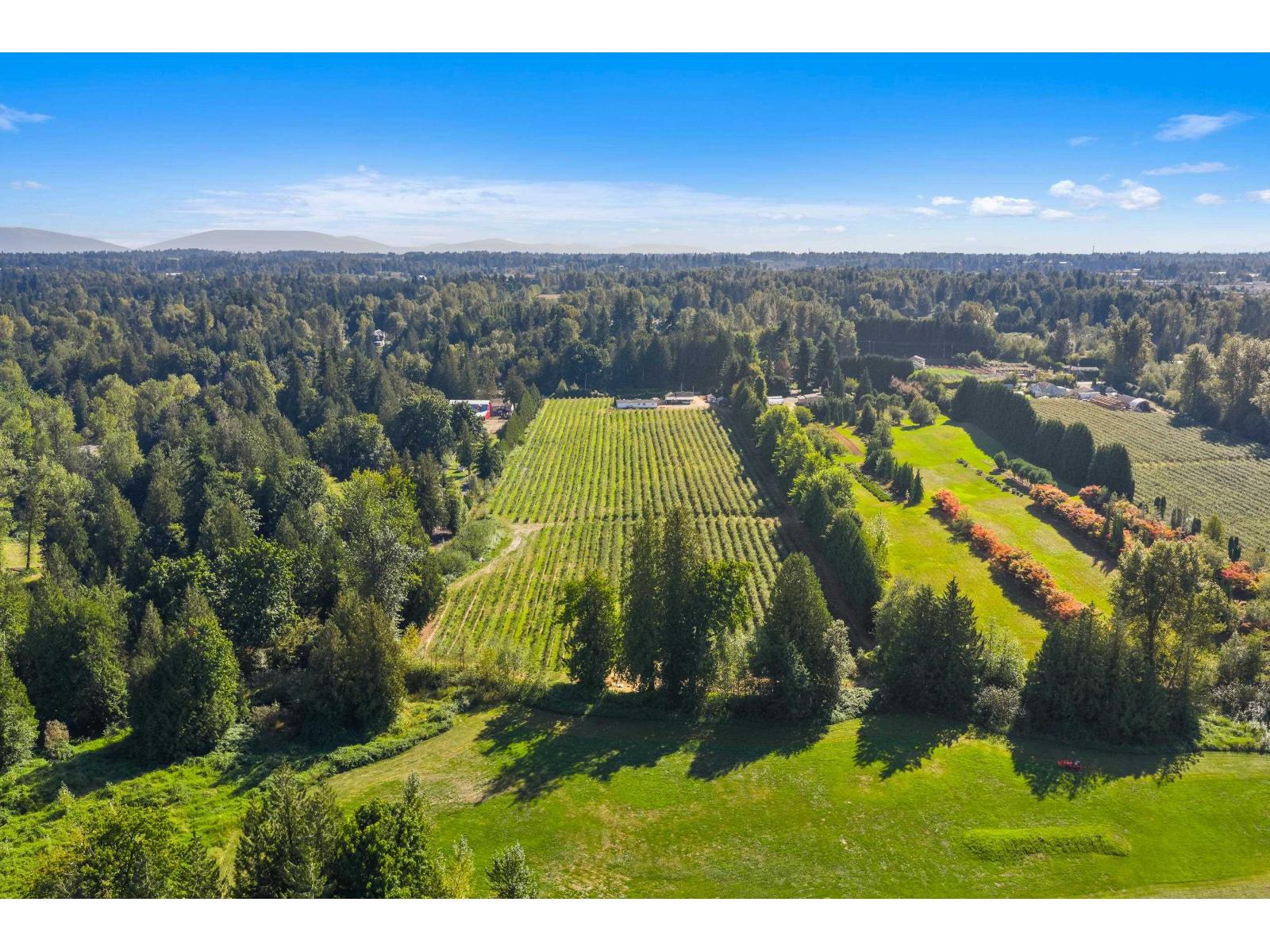 27911 56 AVENUE, Abbotsford
