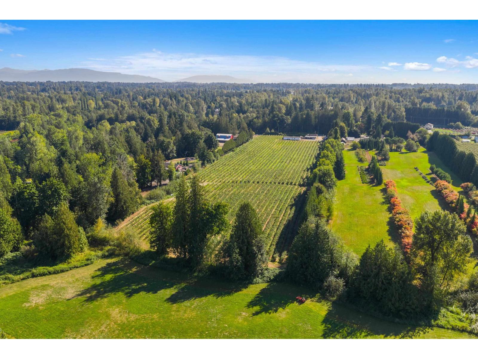 27911 56 AVENUE, Abbotsford