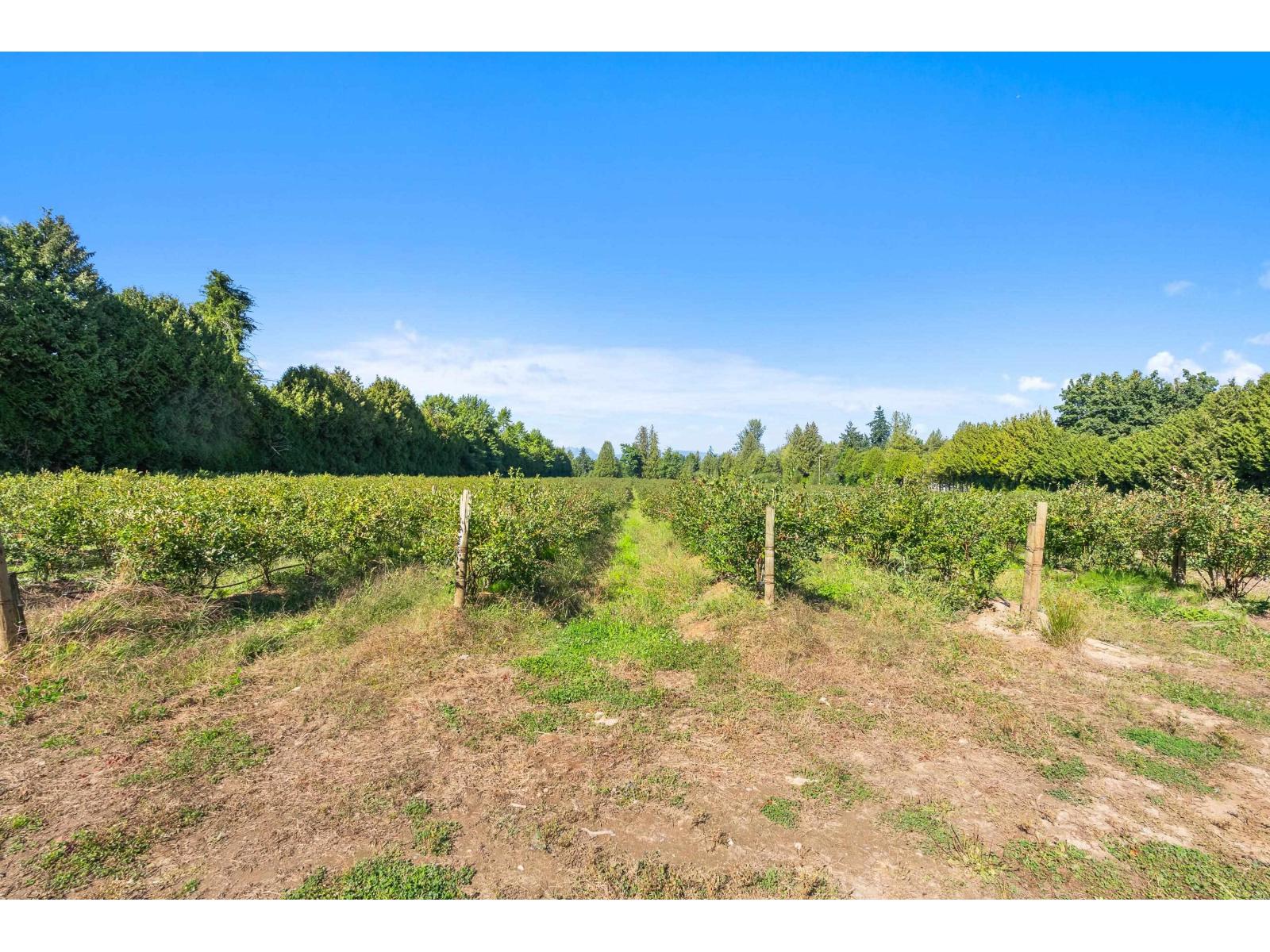 27911 56 AVENUE, Abbotsford