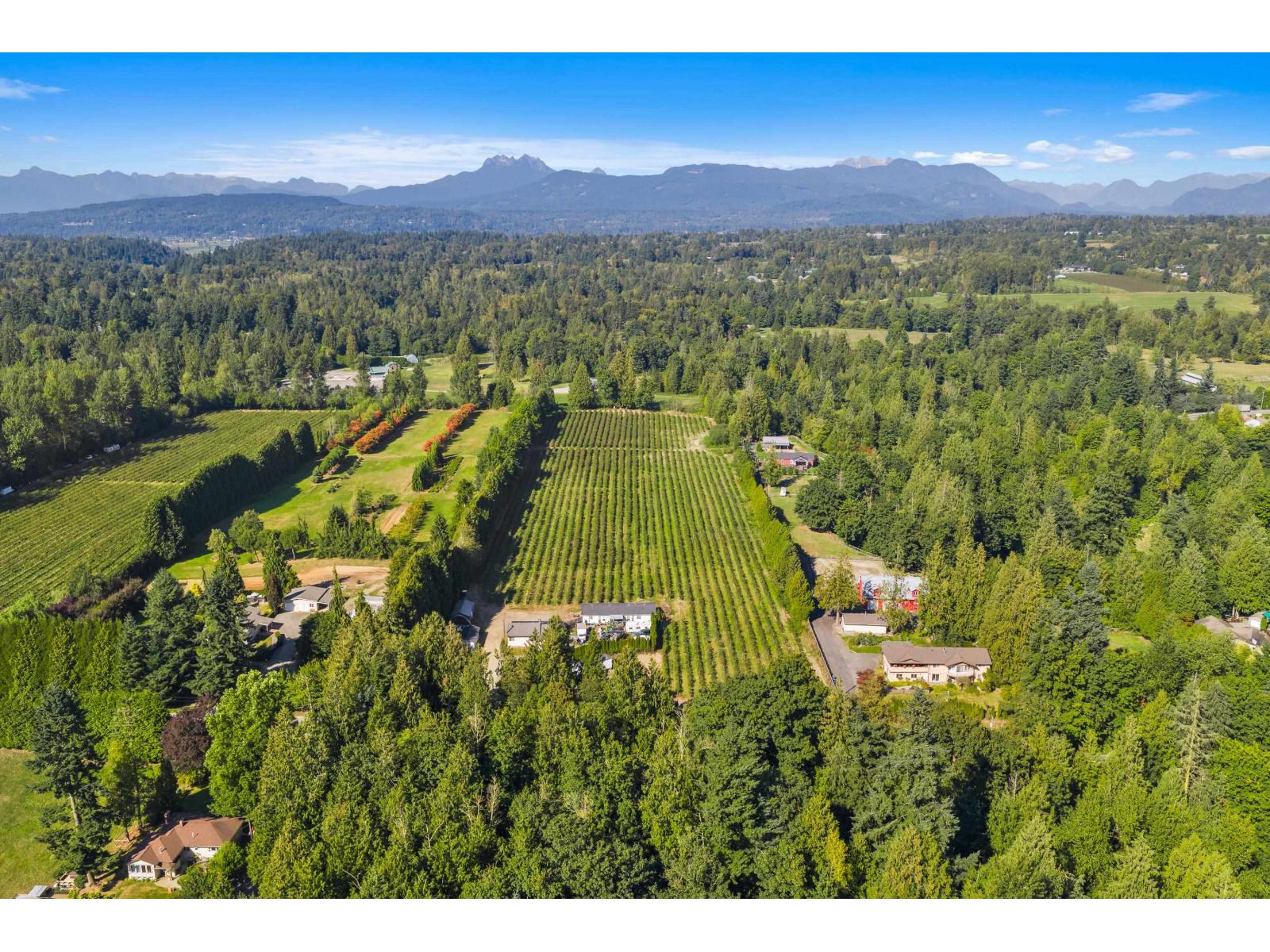 27911 56 AVENUE, Abbotsford