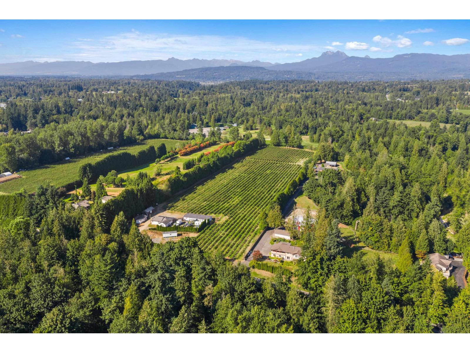 27911 56 AVENUE, Abbotsford