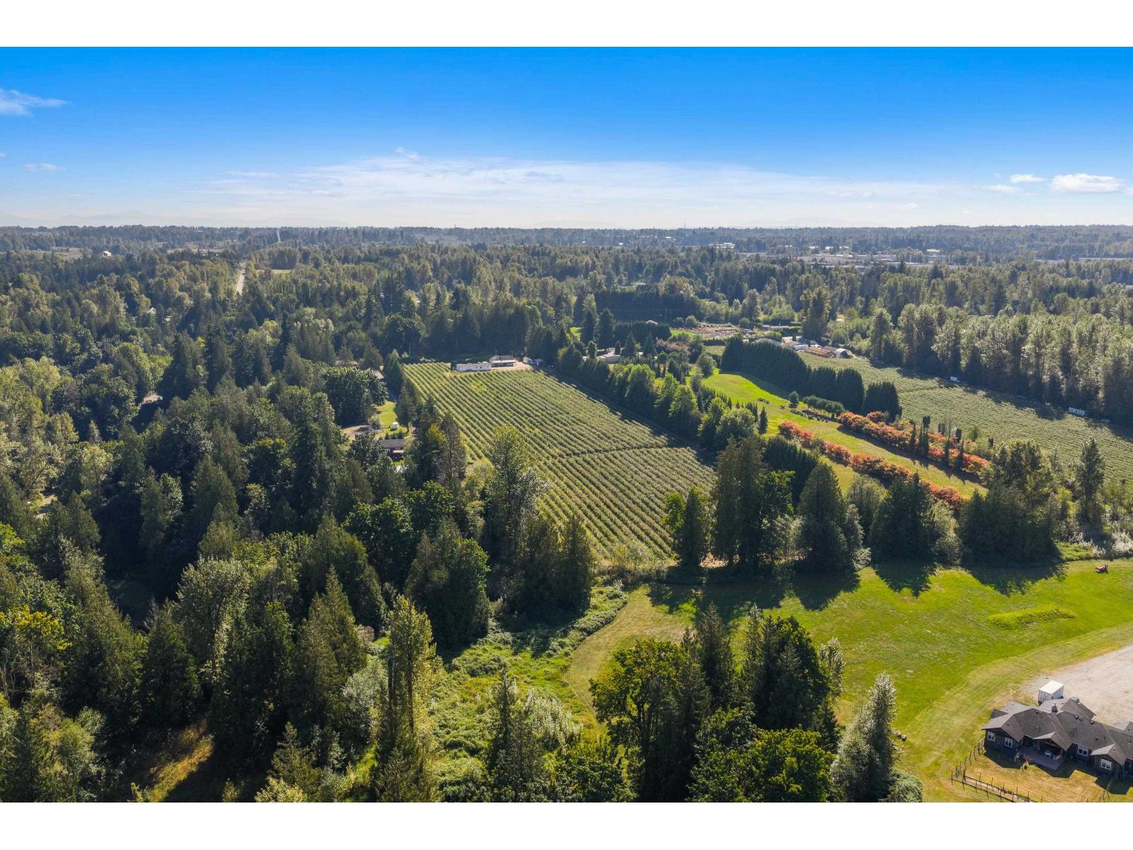 27911 56 AVENUE, Abbotsford