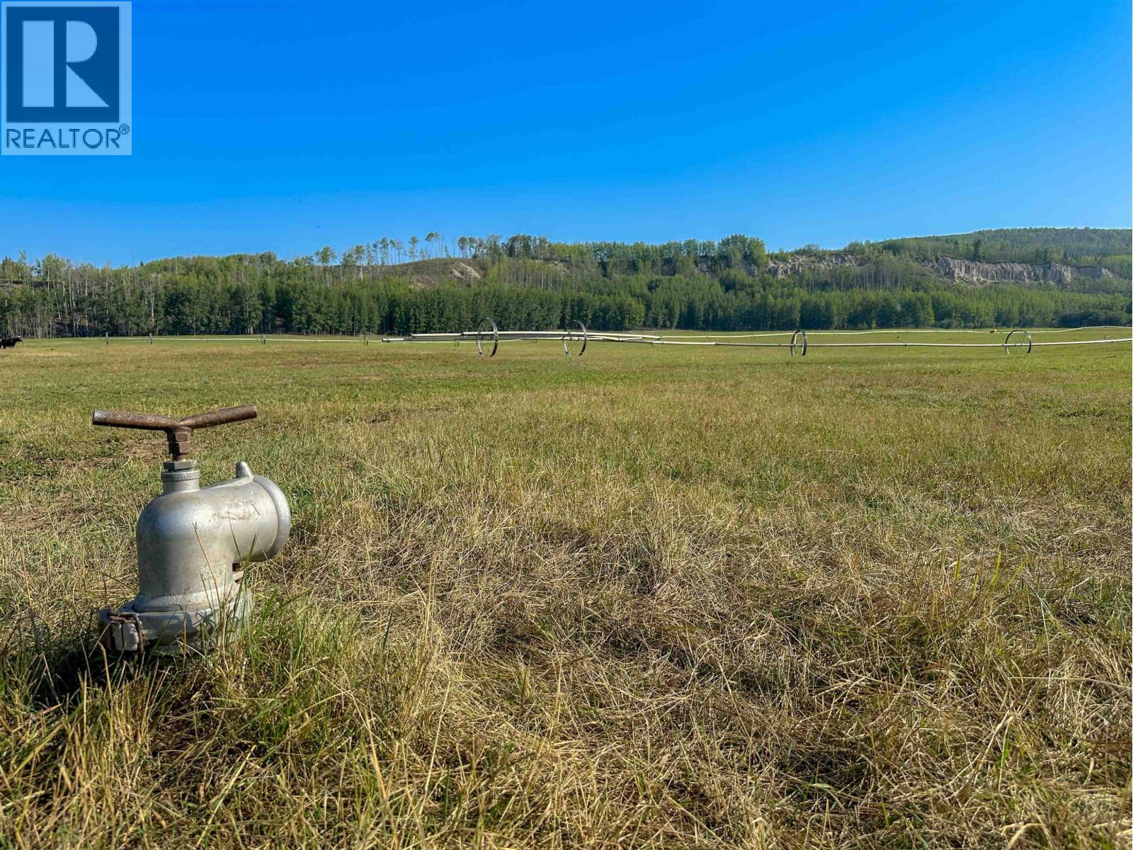 Agriculture in Vanderhoof - Image 13