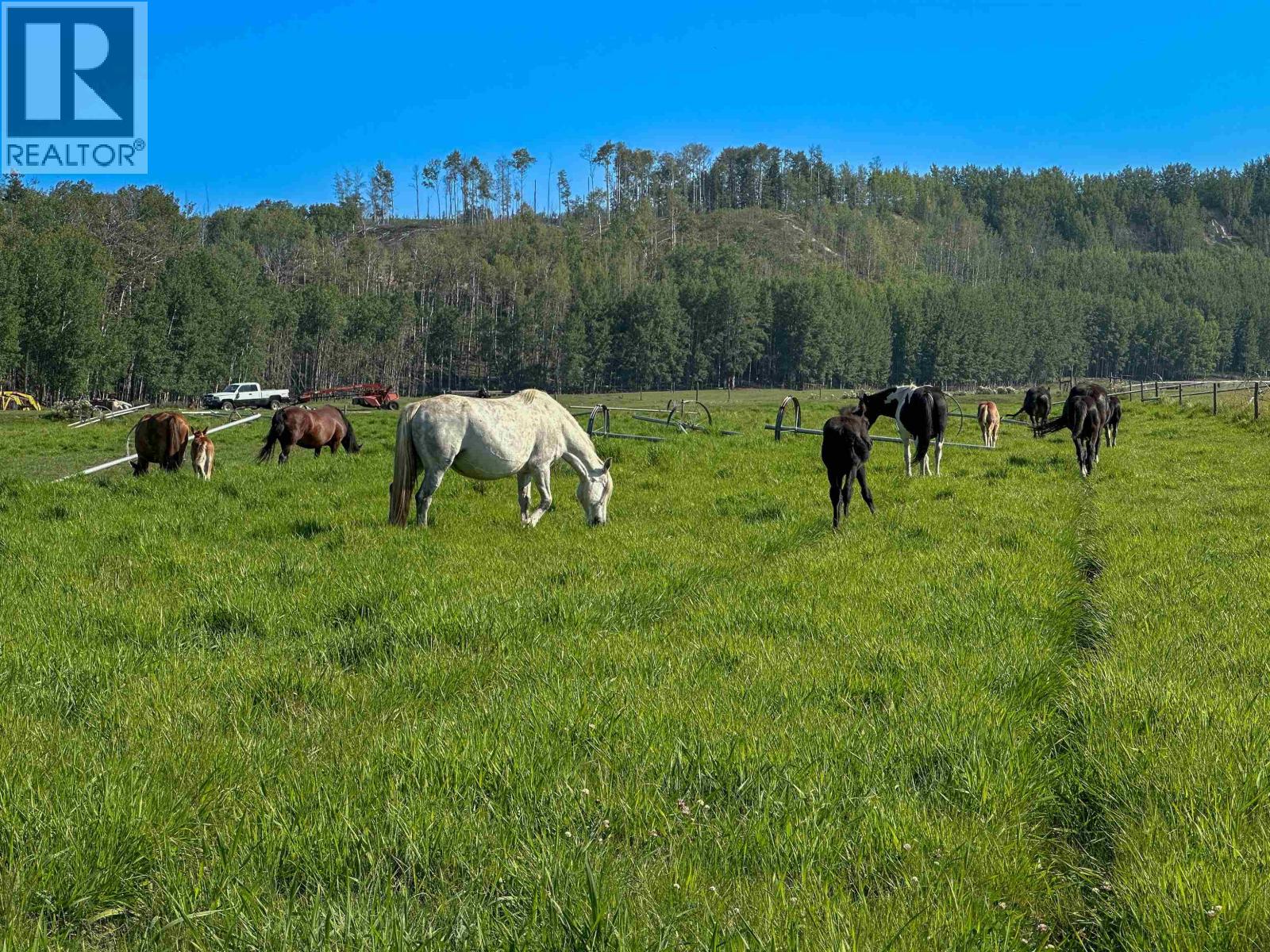 Agriculture in Vanderhoof - Image 17