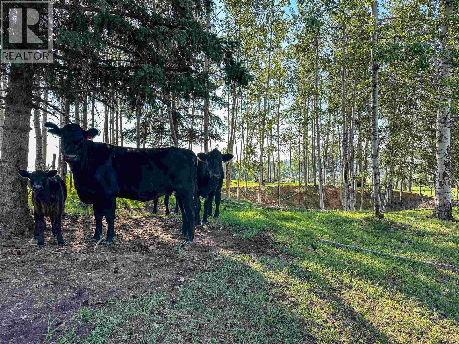Agriculture in Vanderhoof - Image 19
