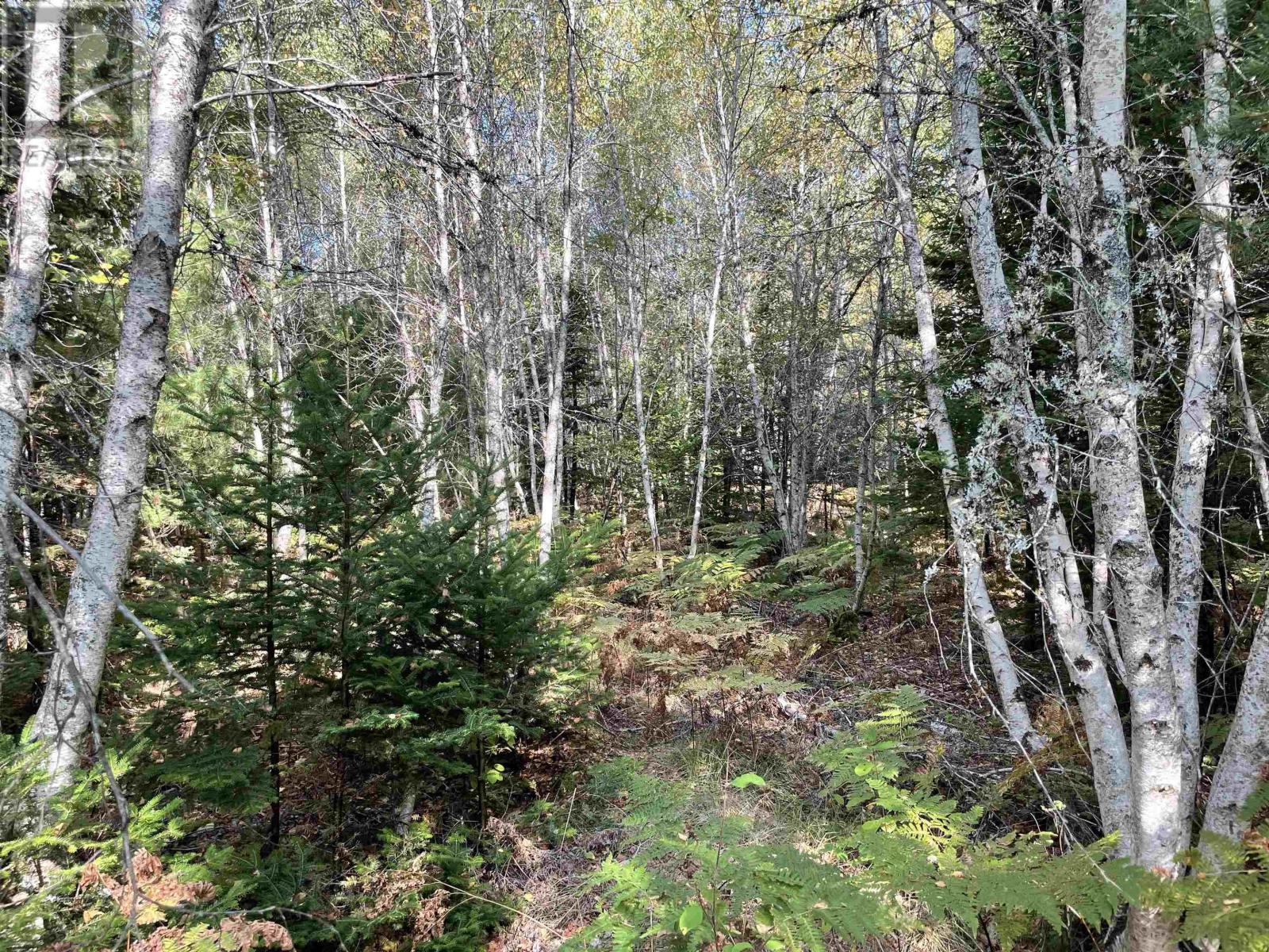 Property 7 of 11 of 69 Mackay Road