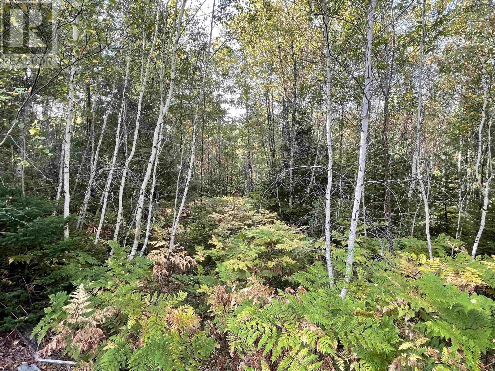 Property 2 of 11 of 69 Mackay Road