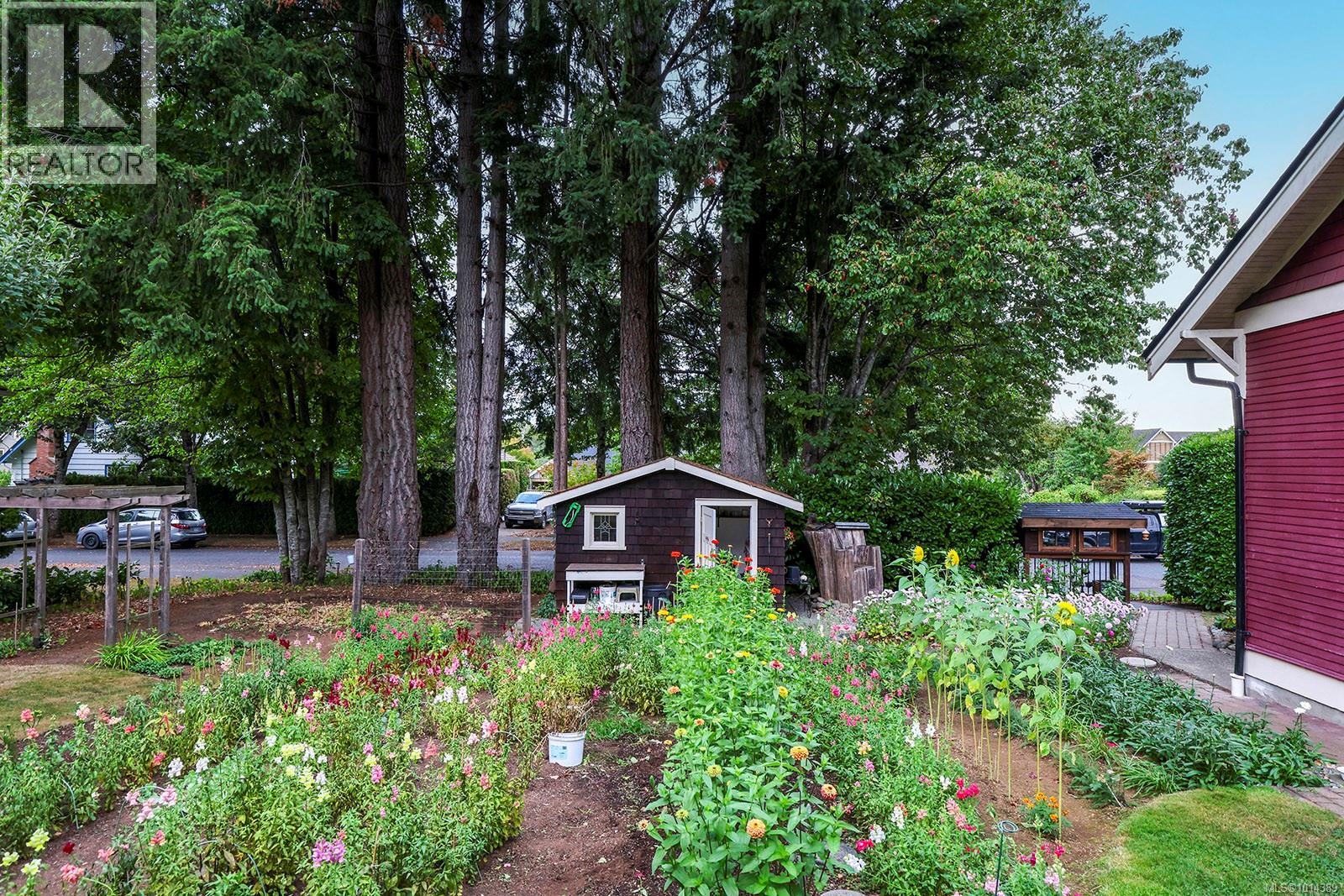 185 Duncan Ave, Courtenay