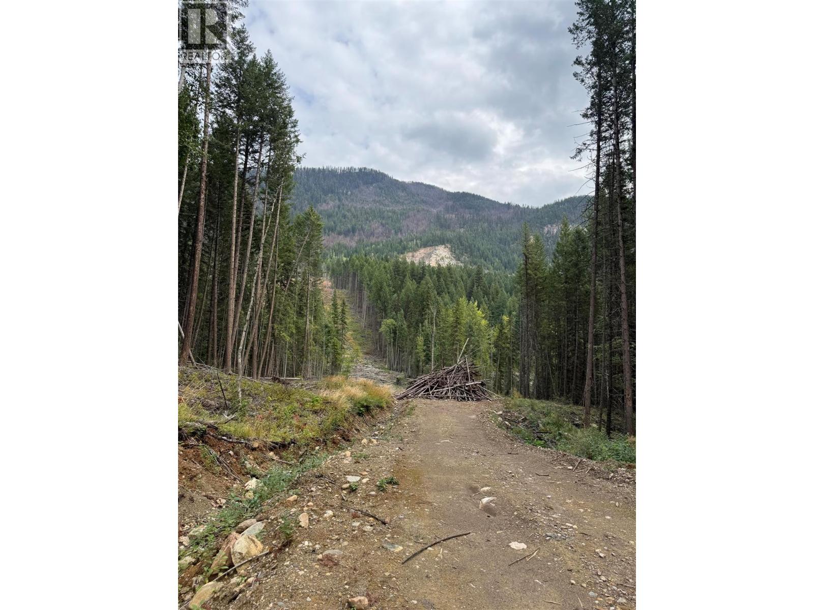 DL 10766 GIANT MIN ROAD - Image 3