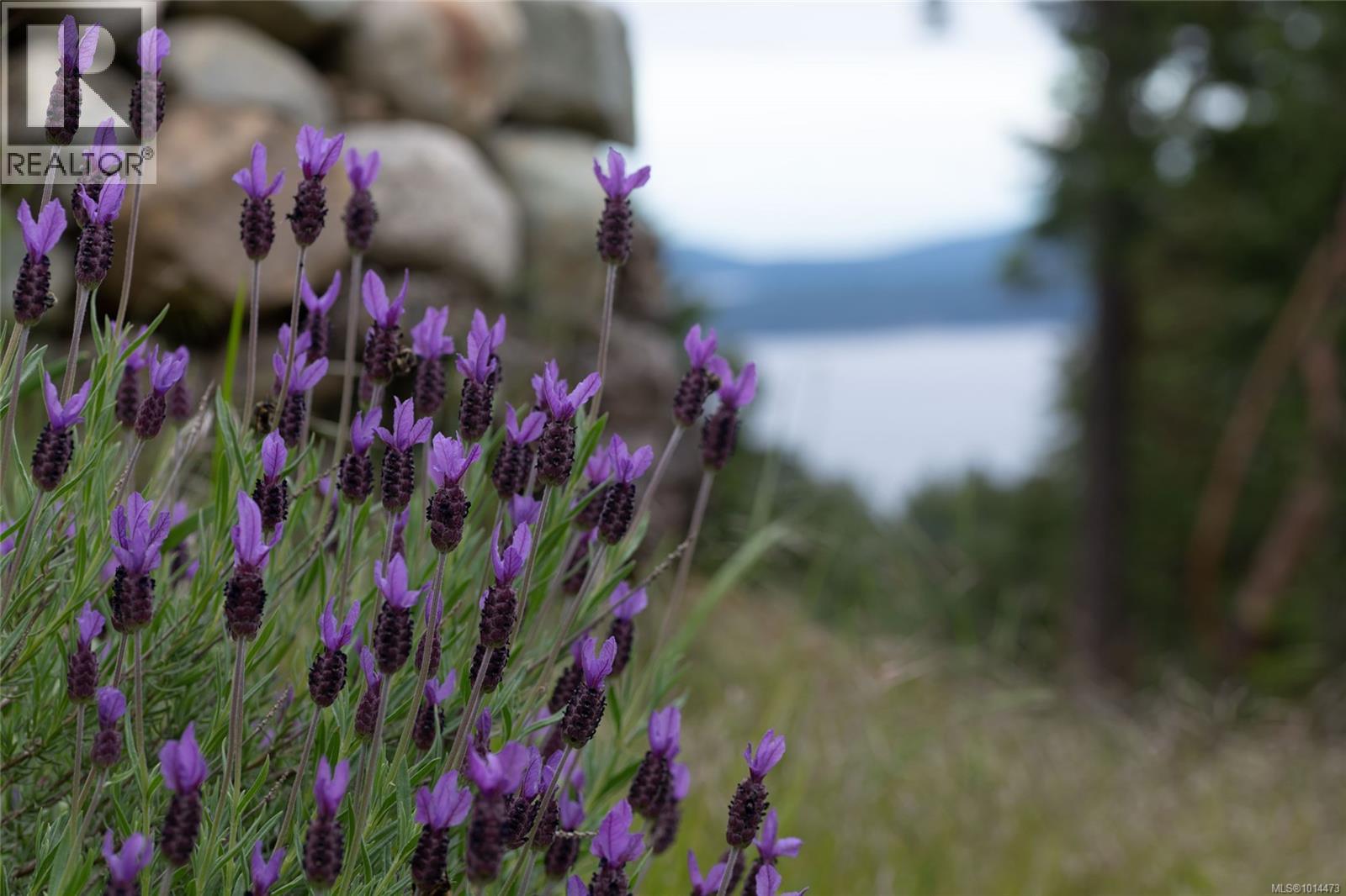  155 Liberty Hall Lane, Salt Spring
