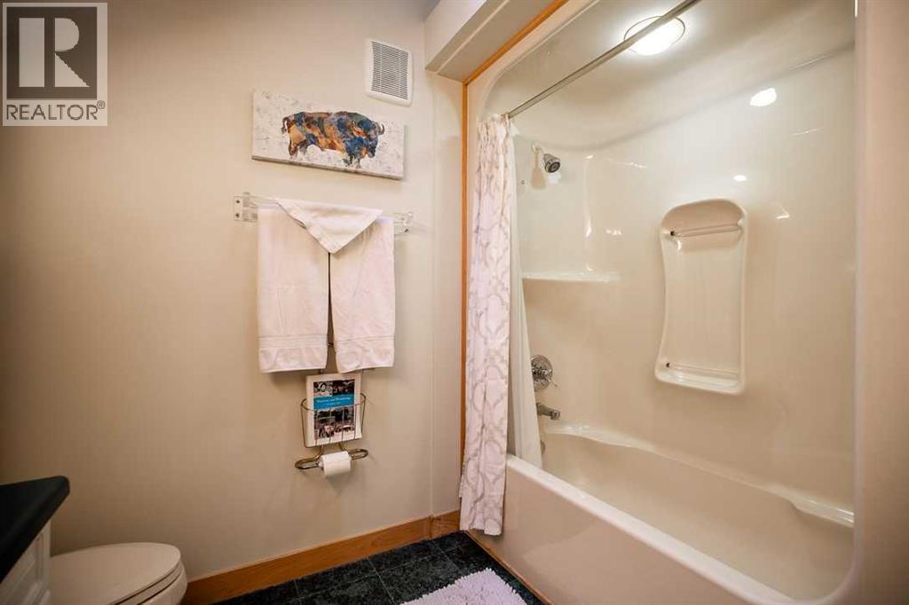 107 MOUNT VIEW - 33