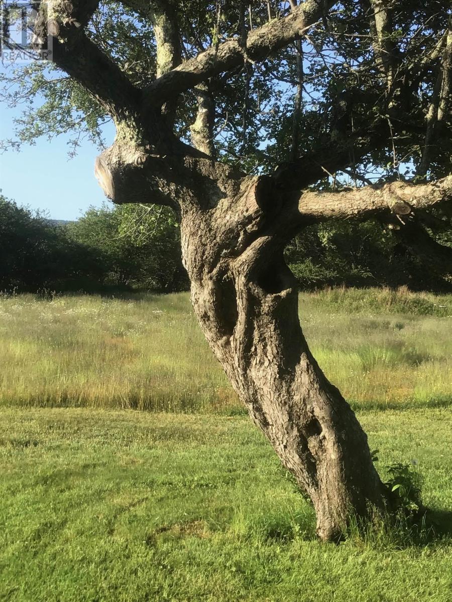 Property 43 of 48 of 903 FELTZEN SOUTH Road