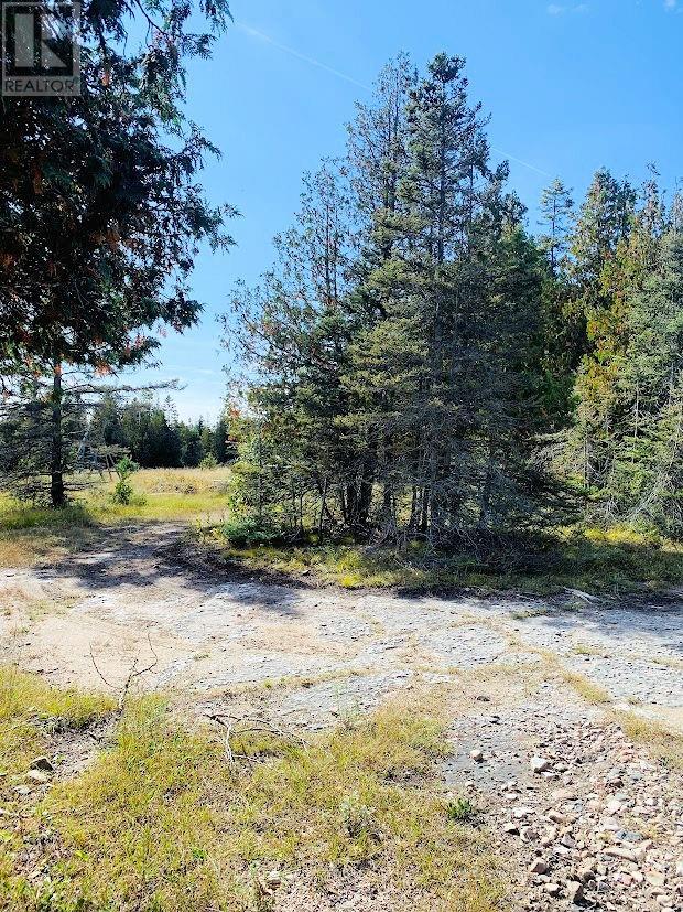 356 CEDAR TREE TRAIL - 12