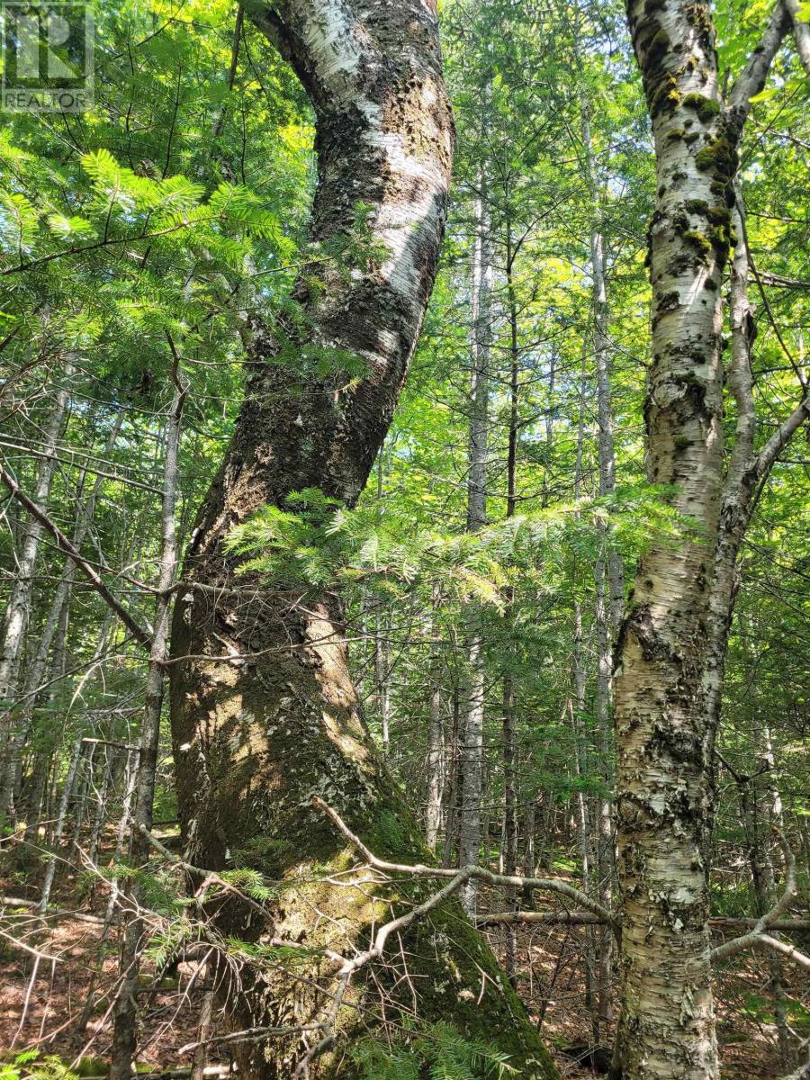 Property 9 of 20 of Crandall Road