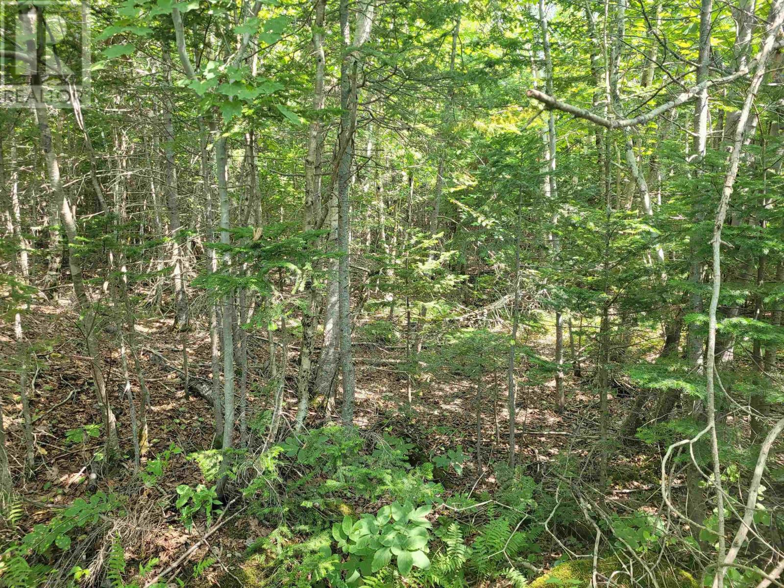 Property 8 of 20 of Crandall Road