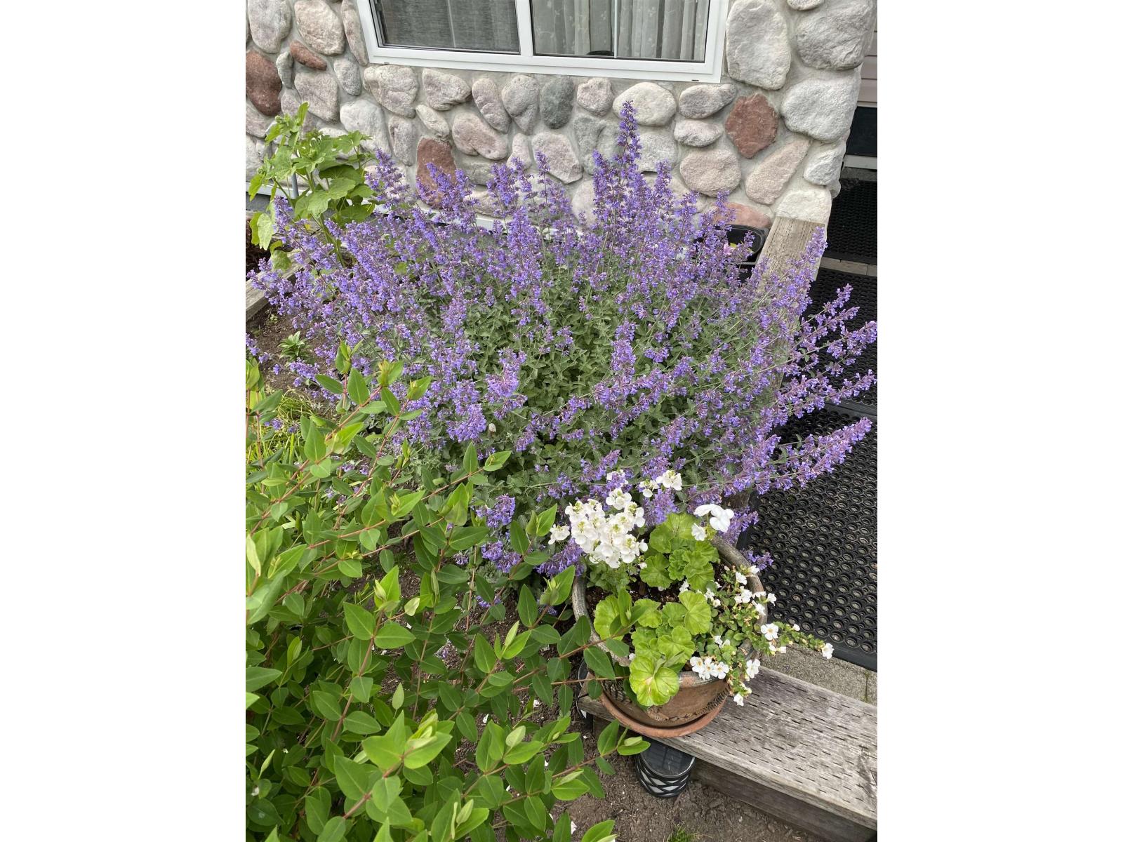 109 15298 20 AVENUE, Surrey