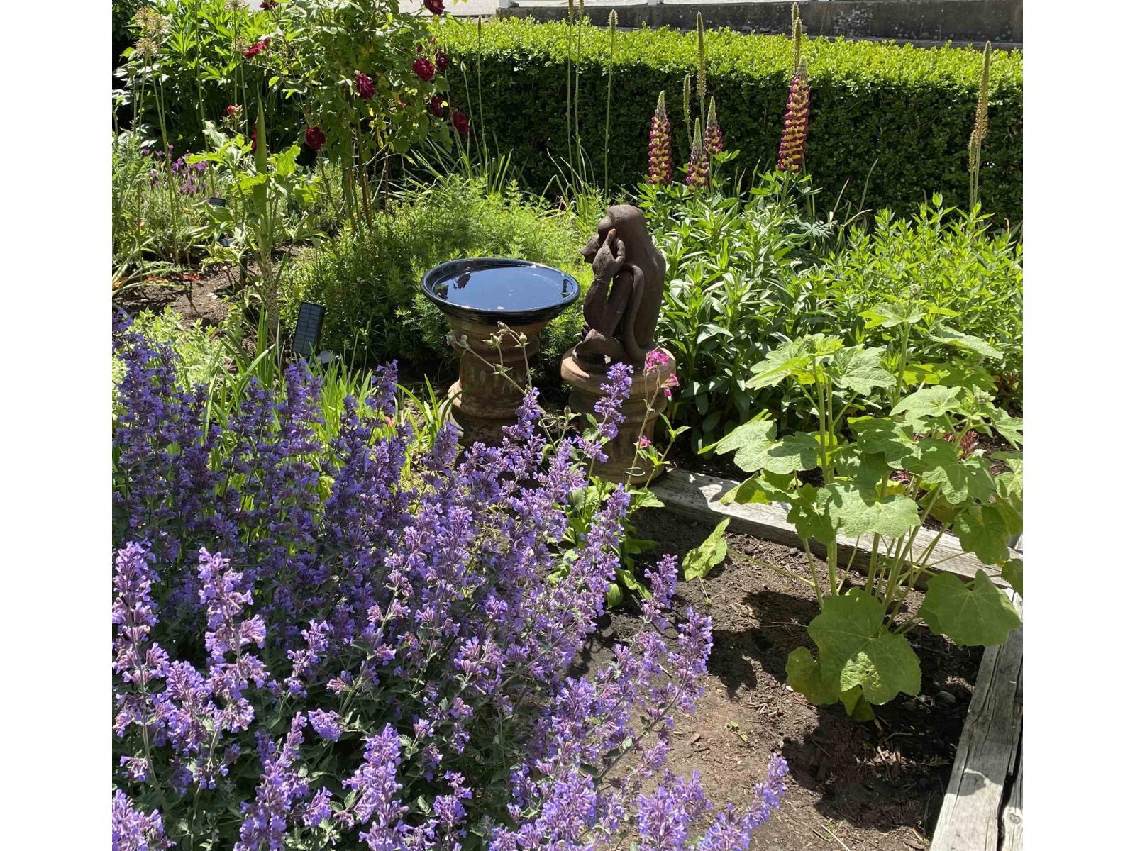 109 15298 20 AVENUE, Surrey